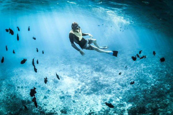 Où trouver les meilleures expériences de snorkeling dans les îles des Caraïbes ?